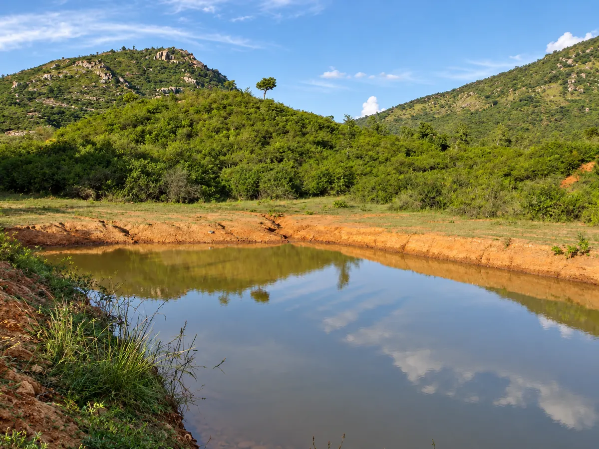 A body of water surrounded by green hills and vegetation