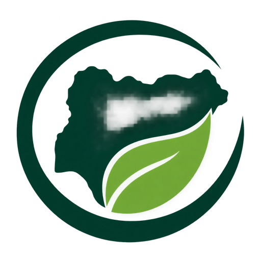 Nigerian Carbon Market